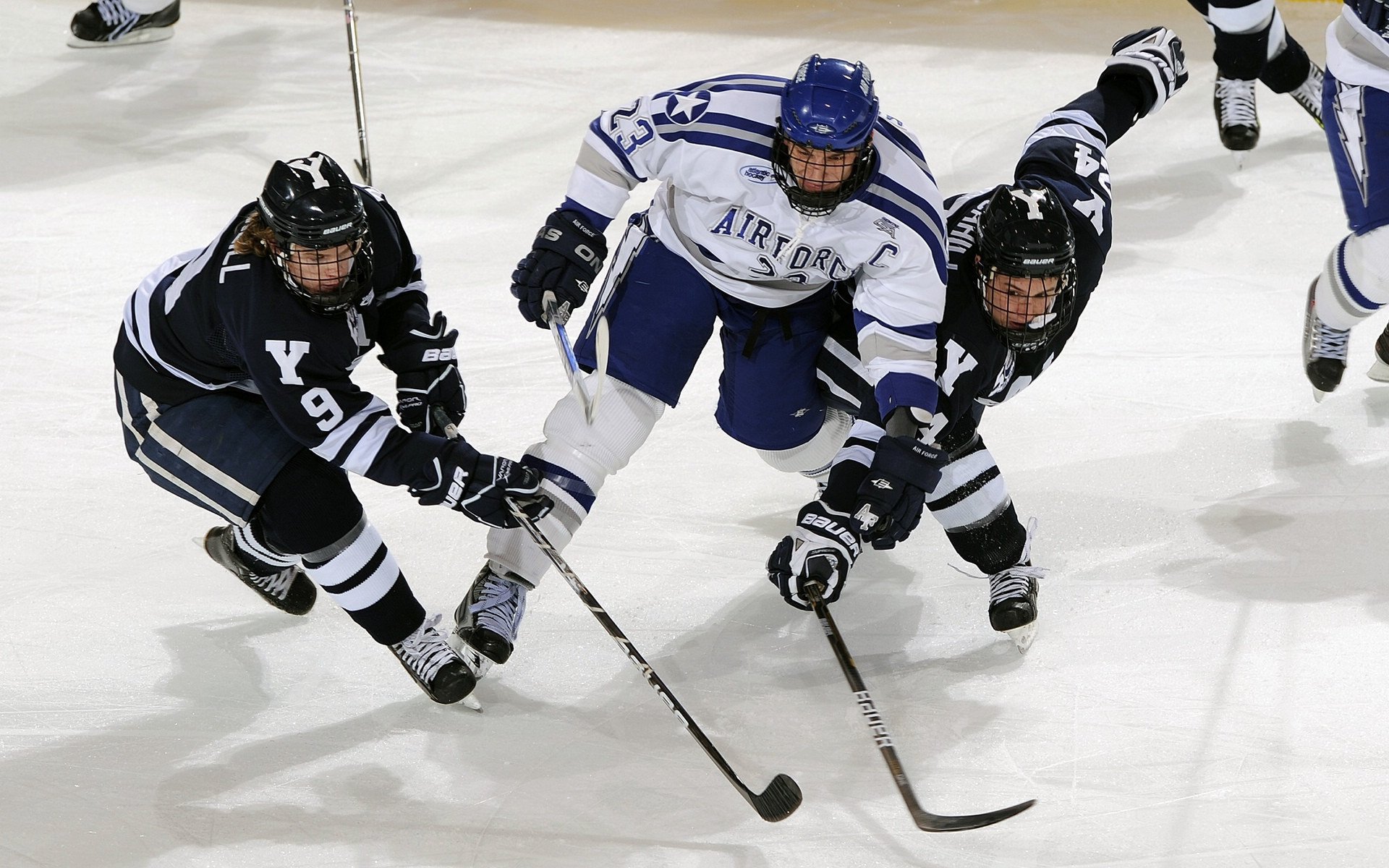 _世界各地网球博物馆:传承运动文化的重要纽带_,世界上最大的网球博物馆