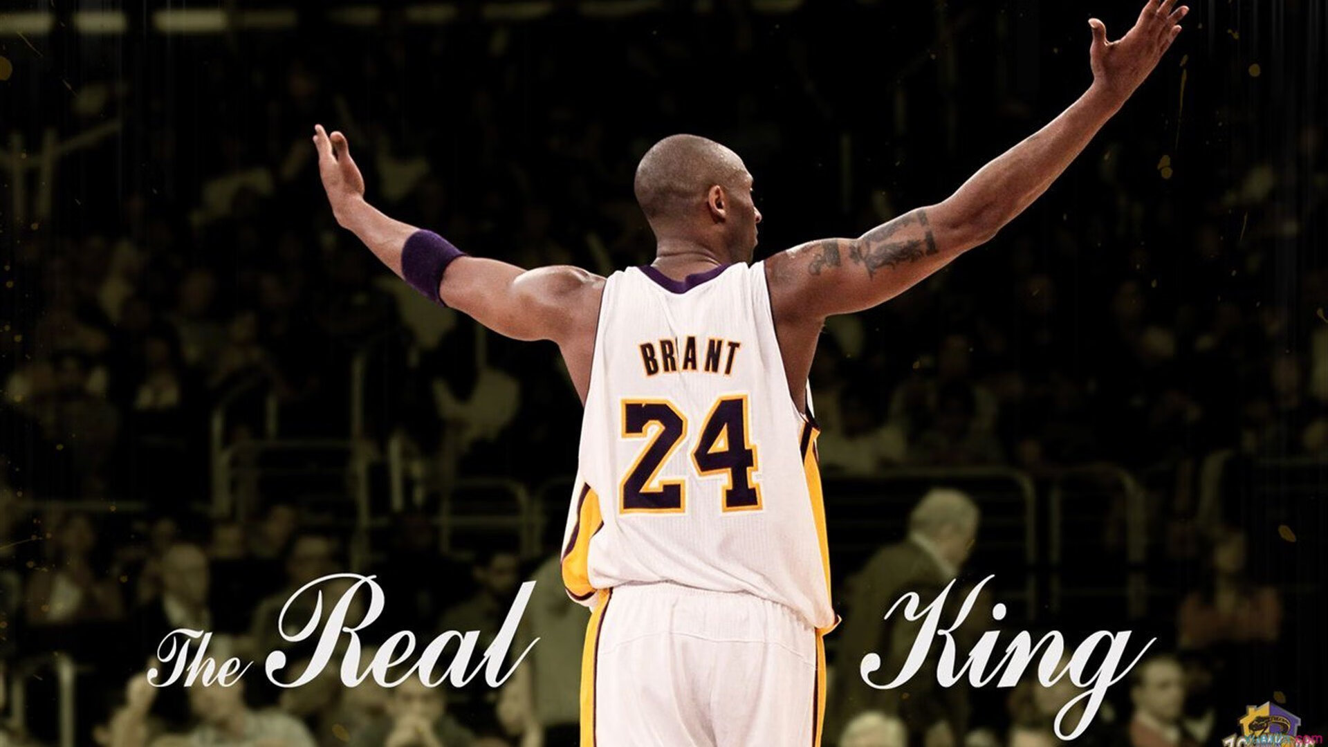 战术细节:快攻反击成赢球神器!,快攻型打法